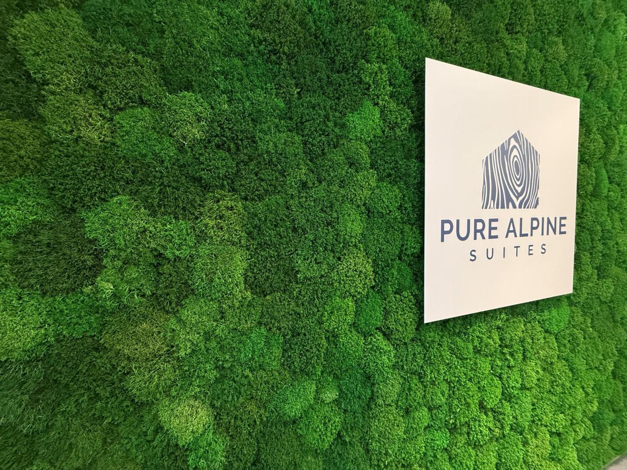 Pure Alpine Suites 斯拉德明 外观 照片